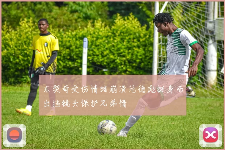 东契奇受伤情绪崩溃范德彪挺身而出挡镜头保护兄弟情